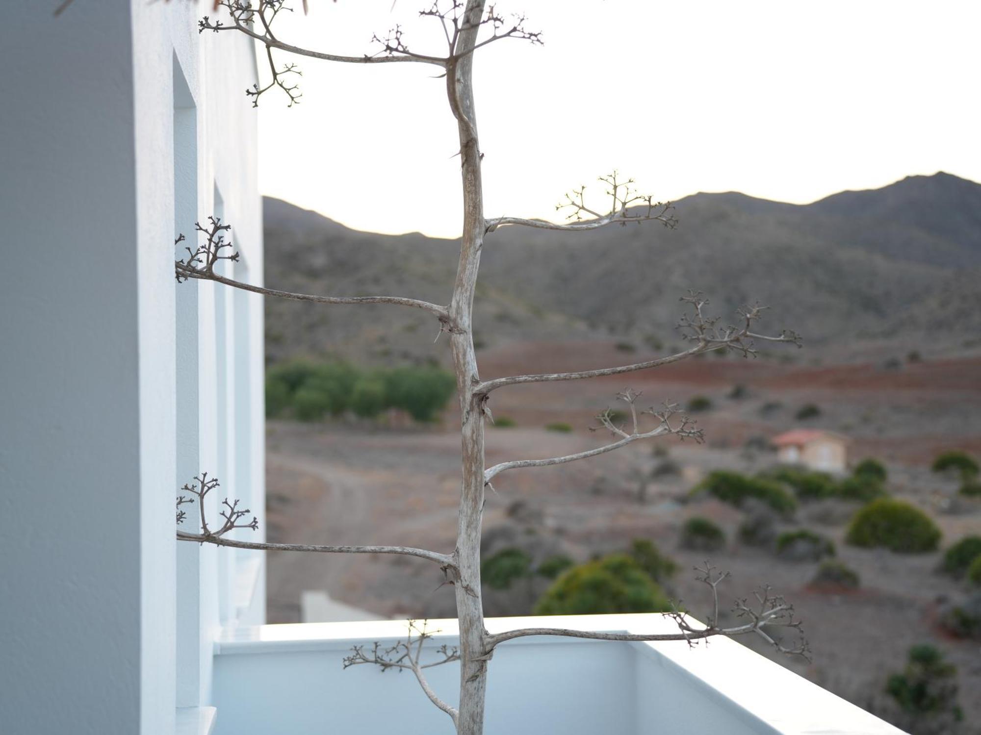 Senses Villa San José Exterior foto
